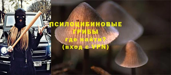 дурь Бородино