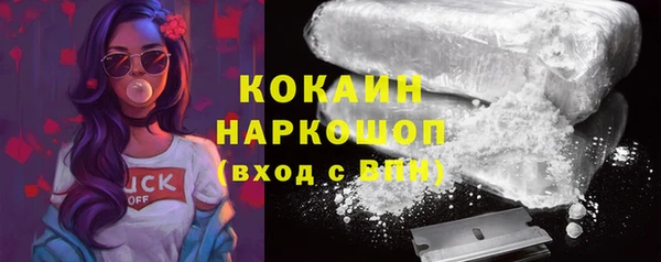 дурь Бородино