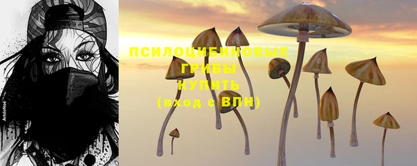 спиды Верхний Тагил