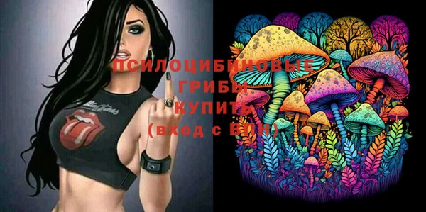 крисы Киренск