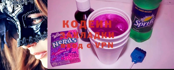 дурь Бородино