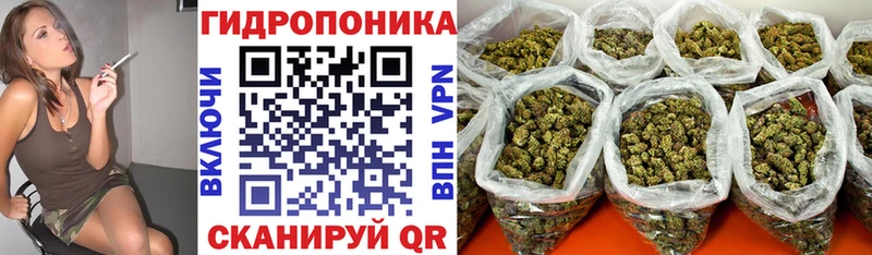 Марихуана SATIVA & INDICA  гидра как войти  Лобня  как найти закладки 